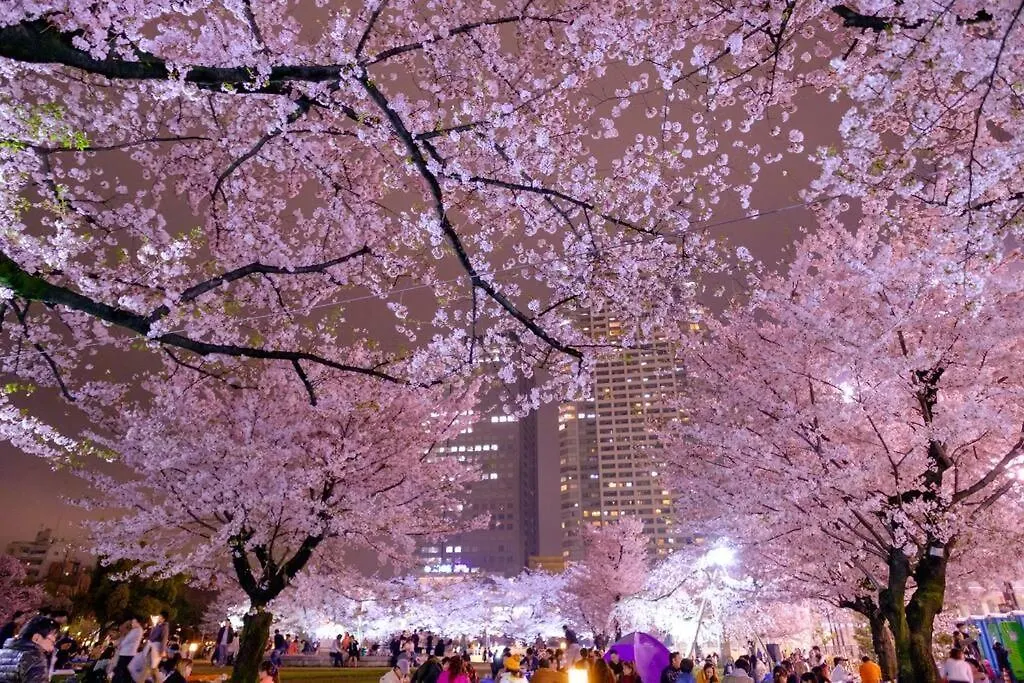 801 5Mins From Jr Kinshicho! Near Asakusa&Skytree! Tokyo